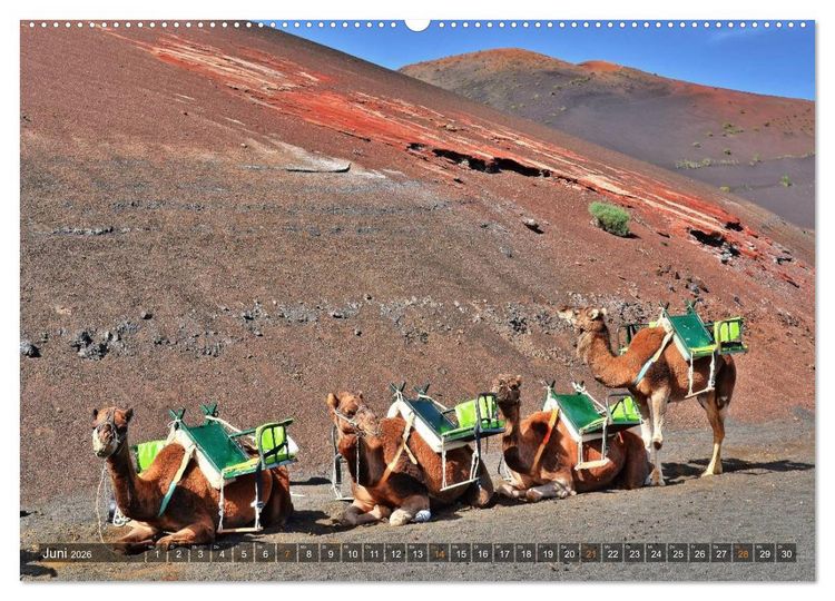 Produktbild: Lanzarote. Wunderwelt der Feuerberge (Wandkalender 2026 DIN A2 quer), CALVENDO Monatskalender