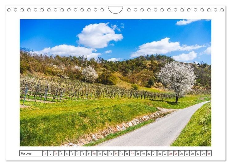 Produktbild: Das Weinviertel - Im Norden von Wien (Wandkalender 2026 DIN A4 quer), CALVENDO Monatskalender