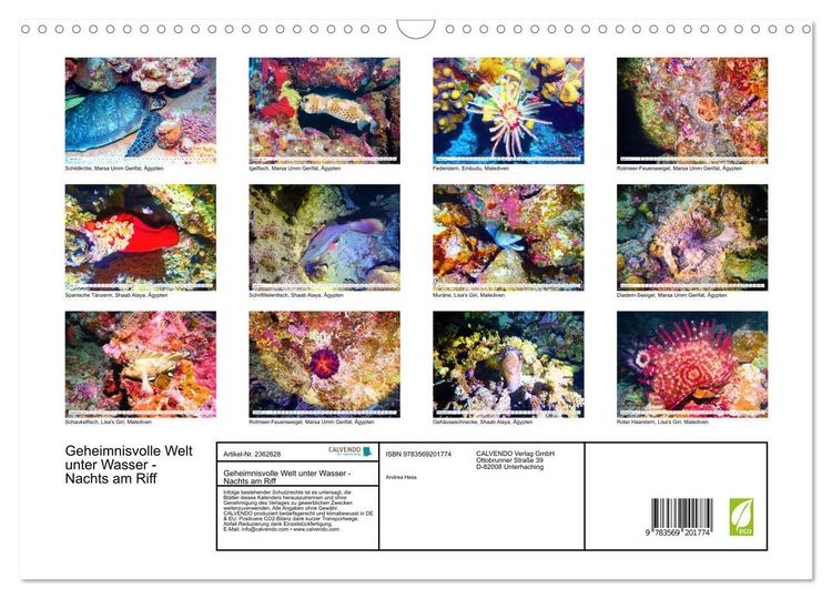Produktbild: Geheimnisvolle Welt unter Wasser - Nachts am Riff (Wandkalender 2027 DIN A3 quer), CALVENDO Monatskalender