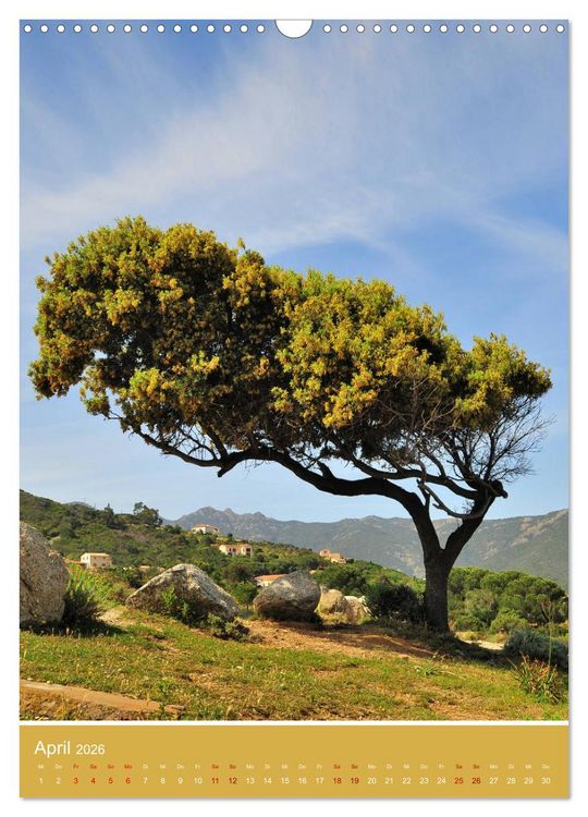 Produktbild: Korsika - Felsen und Meer (Wandkalender 2026 DIN A3 hoch), CALVENDO Monatskalender