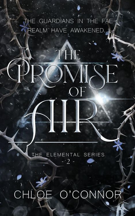 Produktbild: The Promise of Air