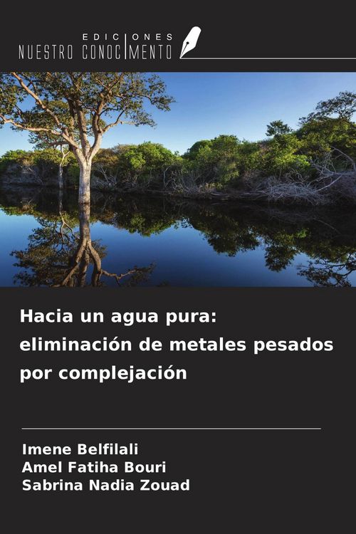 Produktbild: Hacia un agua pura: eliminaci&oacute;n de metales pesados por complejaci&oacute;n