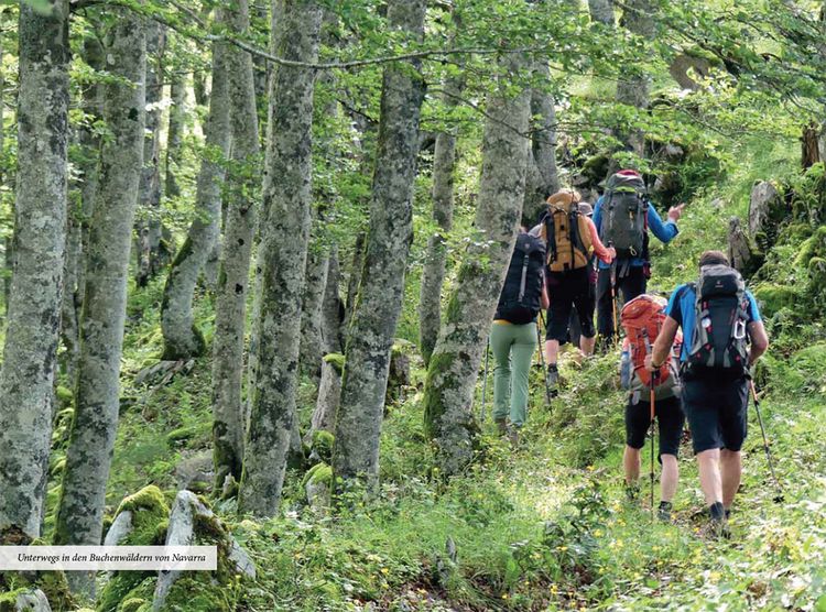 Produktbild: Pyren&auml;enwanderer