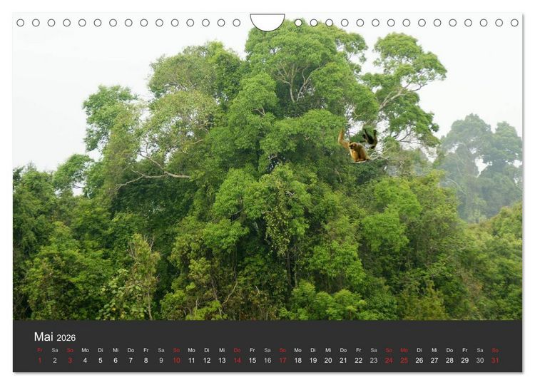 Produktbild: Thailand - exotisch und faszinierend (Wandkalender 2026 DIN A4 quer), CALVENDO Monatskalender