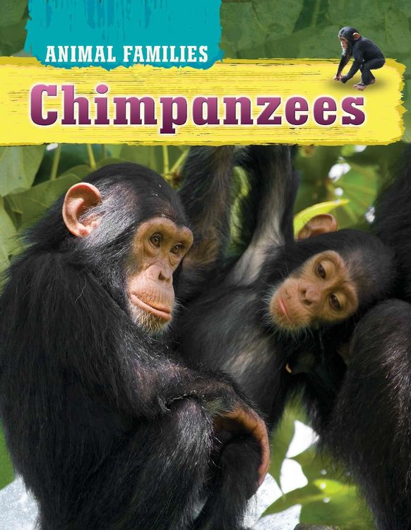 Produktbild: Chimpanzees