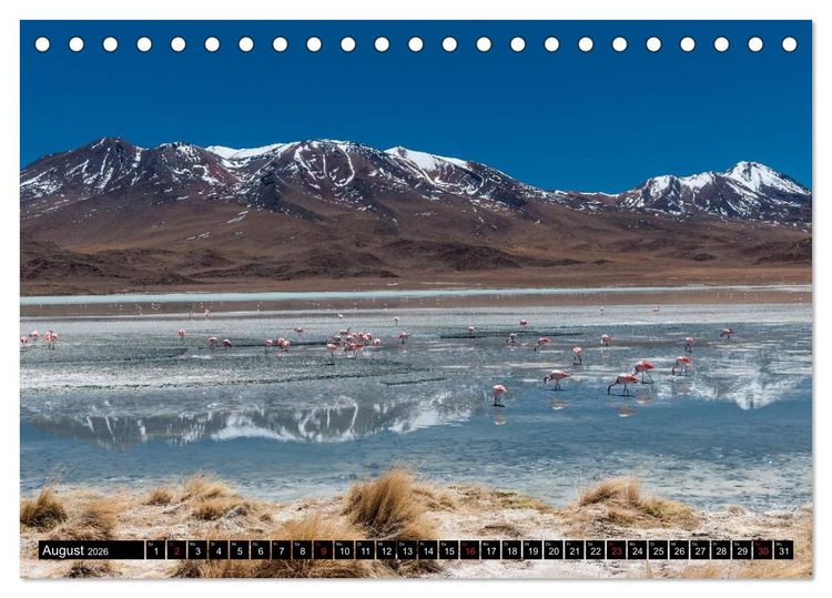 Produktbild: Bolivien Andenlandschaften (Tischkalender 2026 DIN A5 quer), CALVENDO Monatskalender