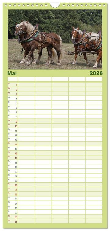 Produktbild: Familienplaner 2026 - Starke Pferde bei der Arbeit mit 5 Spalten (Wandkalender, 21 x 45 cm) CALVENDO