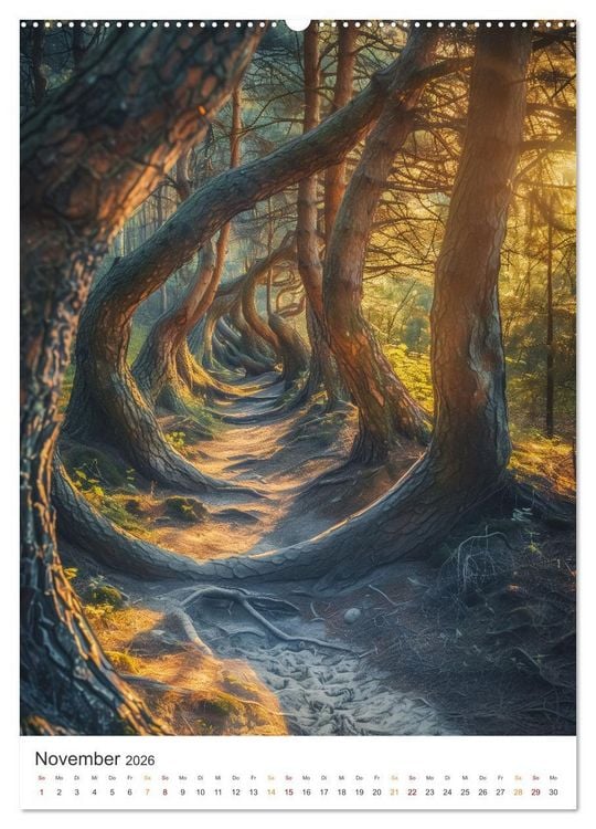 Produktbild: Mystische Pfade (hochwertiger Premium Wandkalender 2026 DIN A2 hoch), Kunstdruck in Hochglanz