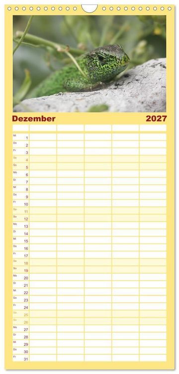 Produktbild: Familienplaner 2027 - Minisaurier im Garten mit 5 Spalten (Wandkalender, 21 x 45 cm) CALVENDO