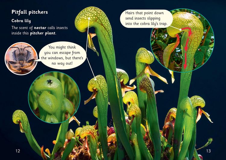 Produktbild: Plant Monsters