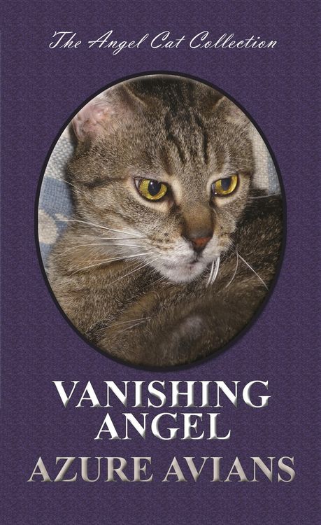 Produktbild: Vanishing Angel (Angel Cat Collection, #6)