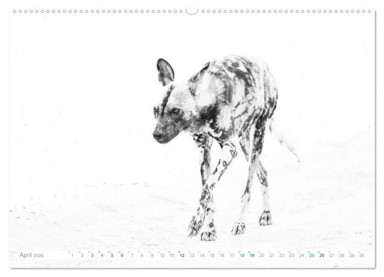 Produktbild: AFRIKA - Schwarz-weiss Fotografien im modernen "High Key" Look (Wandkalender 2026 DIN A2 quer), CALVENDO Monatskalender
