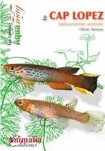 Produktbild: Le cahier de laurine blanc, 96p,