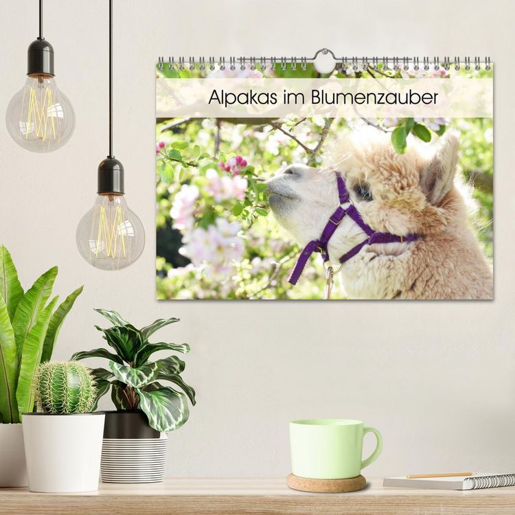 Produktbild: Alpakas im Blumenzauber (Wandkalender 2026 DIN A4 quer), CALVENDO Monatskalender