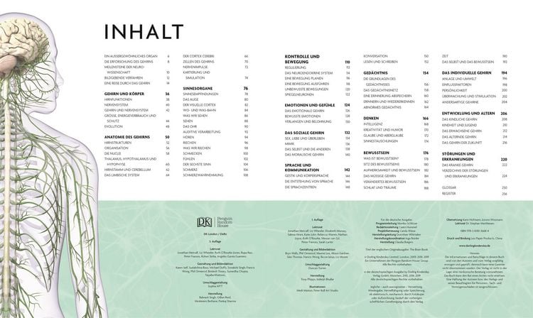 Produktbild: Das Gehirn