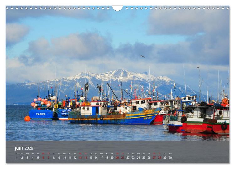 Produktbild: Patagonie Chilienne (Calendrier mural 2026 DIN A3 vertical), CALVENDO calendrier mensuel