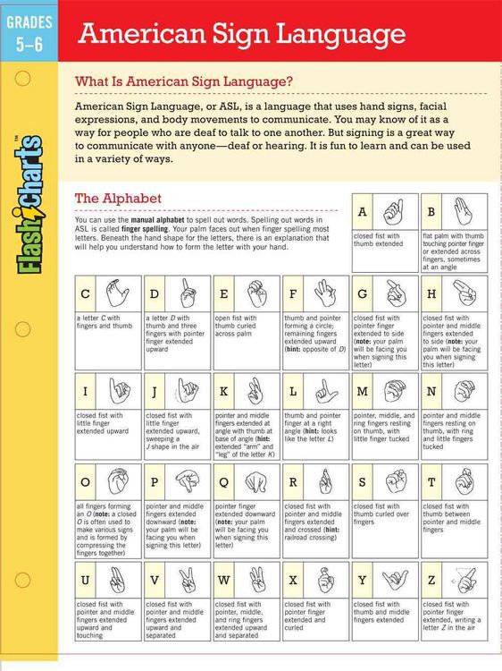 Produktbild: Amer Sign Language Flashcharts