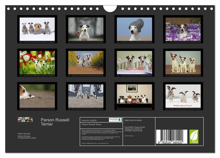 Produktbild: Parson Russell Terrier (Wandkalender 2026 DIN A4 quer), CALVENDO Monatskalender