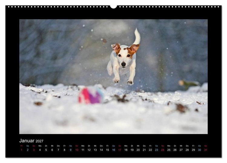 Produktbild: MIXlinge (hochwertiger Premium Wandkalender 2027 DIN A2 quer), Kunstdruck in Hochglanz