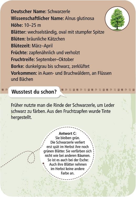Produktbild: Expedition Natur - 50 heimische B&auml;ume