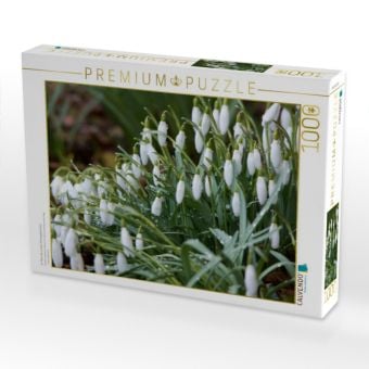 Produktbild: CALVENDO Puzzle Im M&auml;rz die ersten Schneegl&ouml;ckchen | 1000 Teile Lege-Gr&ouml;&szlig;e 64x48cm Foto-Puzzle f&uuml;r gl&uuml;ckliche Stunden