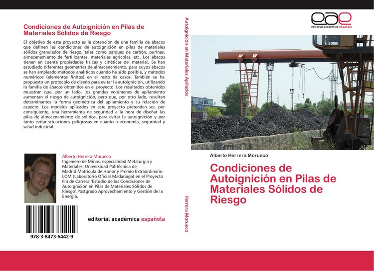Produktbild: Condiciones de Autoignici&oacute;n en Pilas de Materiales S&oacute;lidos de Riesgo