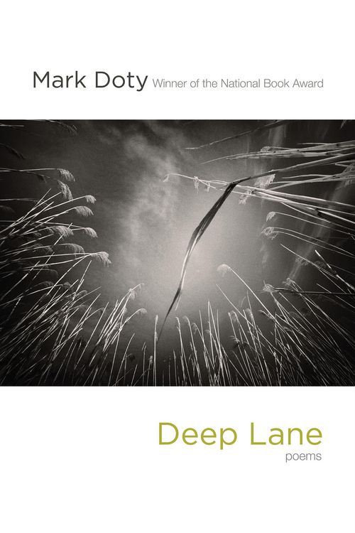 Produktbild: Deep Lane