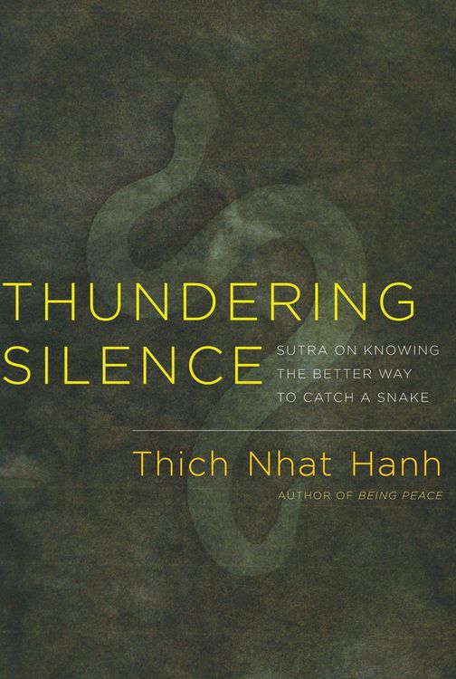 Produktbild: Thundering Silence