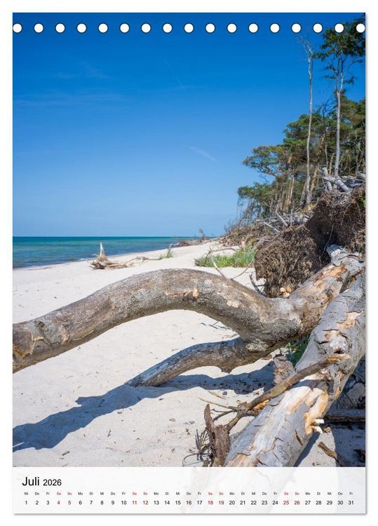 Produktbild: Fischland-Dar&szlig;-Zingst - Im Licht des Nordens (Tischkalender 2026 DIN A5 hoch), CALVENDO Monatskalender