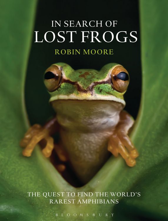 Produktbild: In Search of Lost Frogs
