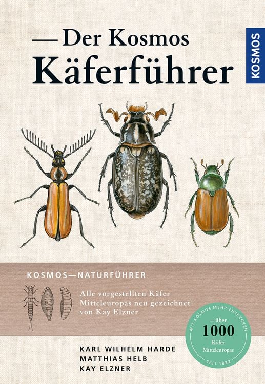 Produktbild: Der Kosmos K&auml;ferf&uuml;hrer
