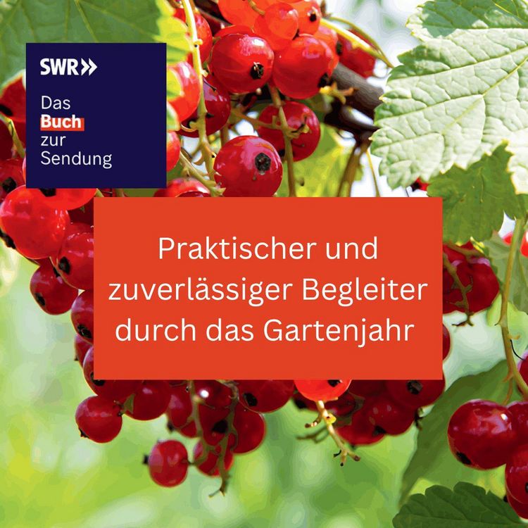 Produktbild: Durchs Jahr 2027 mit KAFFEE ODER TEE