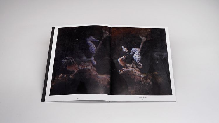 Produktbild: Aline Schwibbe &ndash; Now It&rsquo;s Dark