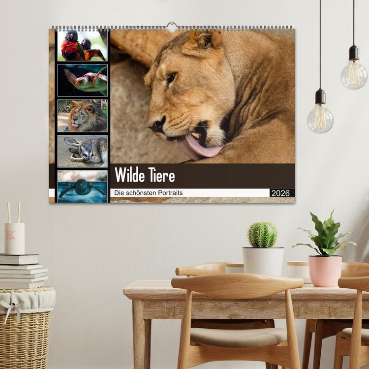 Produktbild: Wilde Tiere - Die sch&ouml;nsten Portraits (Wandkalender 2026 DIN A2 quer), CALVENDO Monatskalender