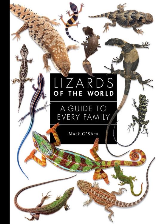 Produktbild: Lizards of the World