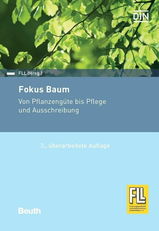Produktbild: Fokus Baum