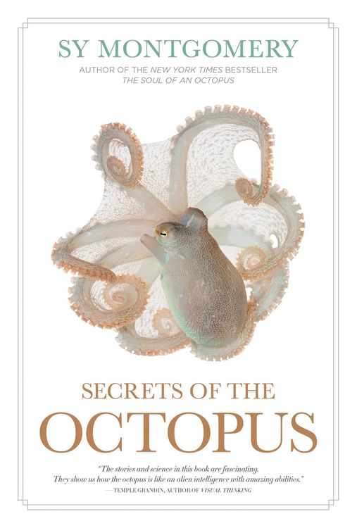 Produktbild: Secrets of the Octopus