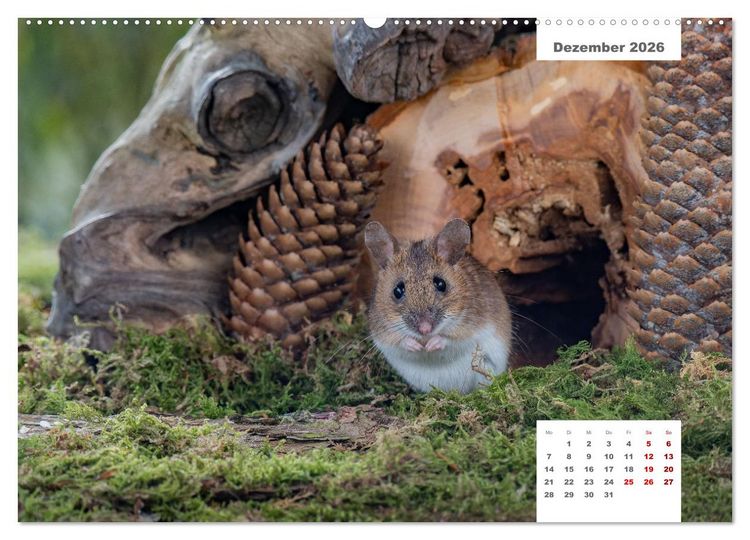 Produktbild: Zwei Tierfotografen Zw&ouml;lf Highlights (Wandkalender 2026 DIN A2 quer), CALVENDO Monatskalender