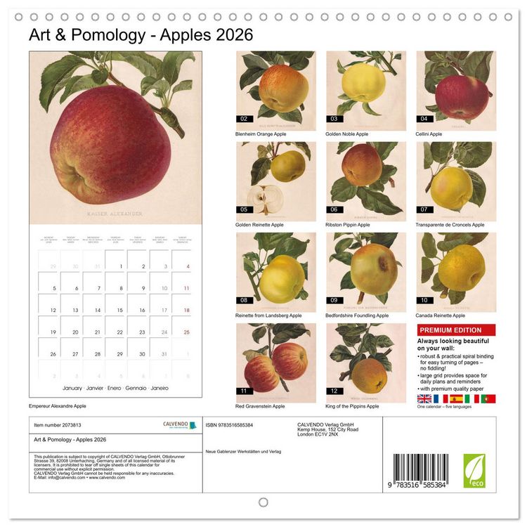 Produktbild: Art & Pomology - Apples 2026 (Wall Calendar 2026 12 &times; 12 Inch) CALVENDO 12 Month Wall Calendar