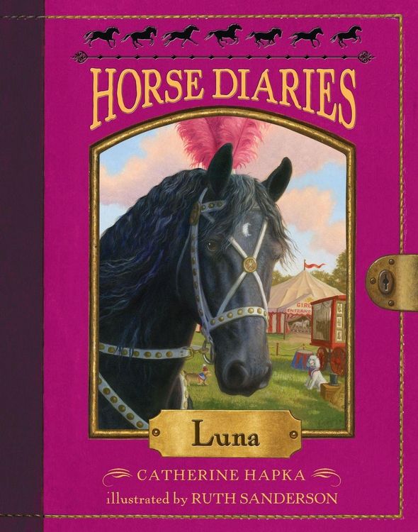 Produktbild: Horse Diaries #12