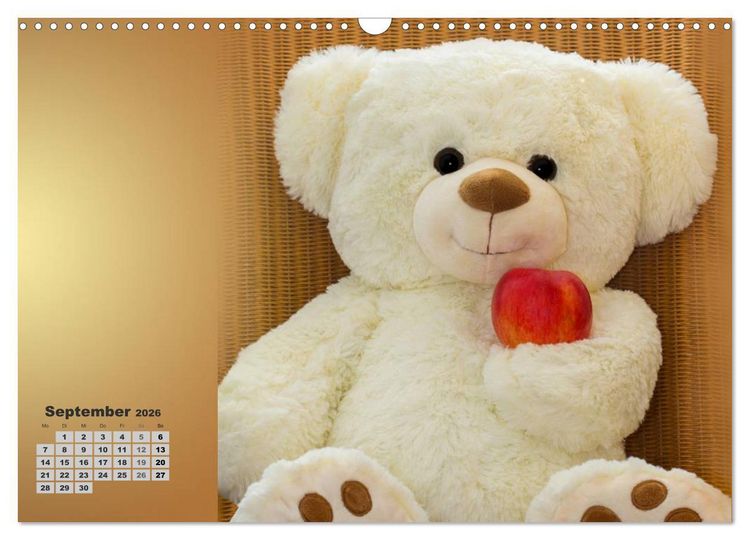 Produktbild: Teddys, wollen wir Kalender anschauen? (Wandkalender 2026 DIN A3 quer), CALVENDO Monatskalender