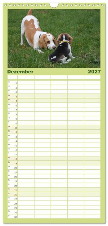 Produktbild: Familienplaner 2027 - DER BEAGLEige TERMINPLANER mit 5 Spalten (Wandkalender, 21 x 45 cm) CALVENDO