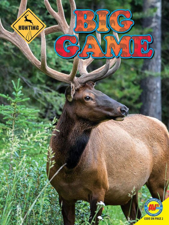 Produktbild: Big Game