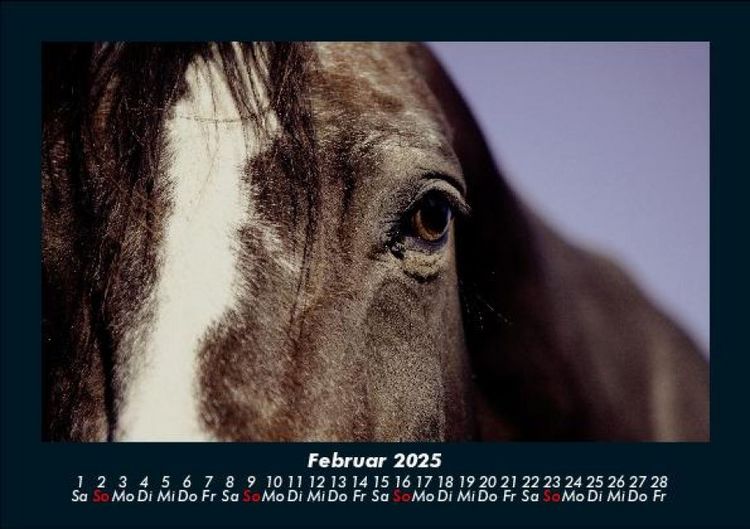 Produktbild: Pferdegefl&uuml;ster 2025 Fotokalender DIN A5
