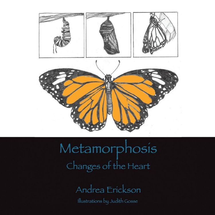 Produktbild: Metamorphosis