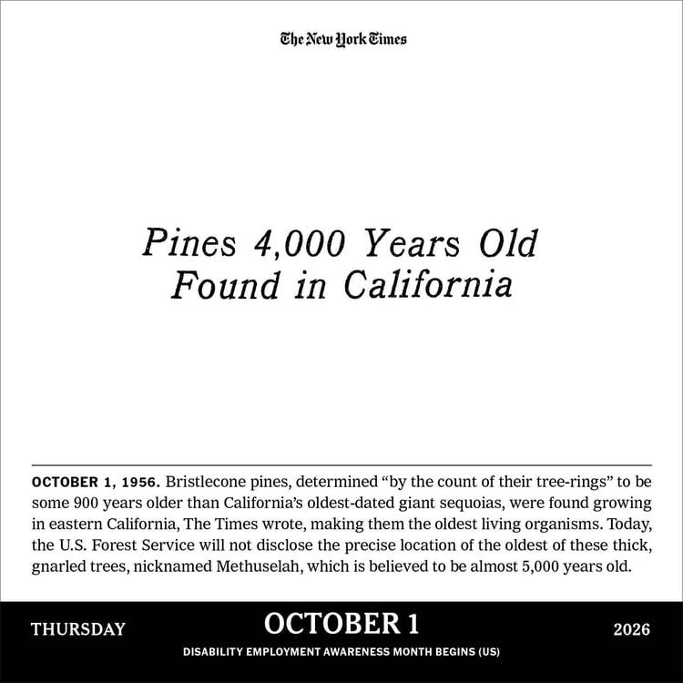 Produktbild: New York Times Headlines in History Page-A-Day(r) Calendar 2026