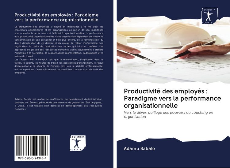 Produktbild: Productivit&eacute; des employ&eacute;s : Paradigme vers la performance organisationnelle