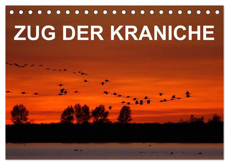 Produktbild: Zug der Kraniche (Tischkalender 2026 DIN A5 quer), CALVENDO Monatskalender