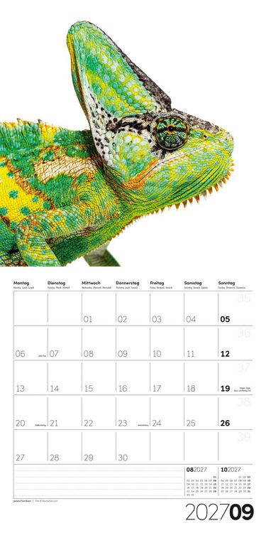 Produktbild: Animals Kalender 2027 - 30x30 - Art12