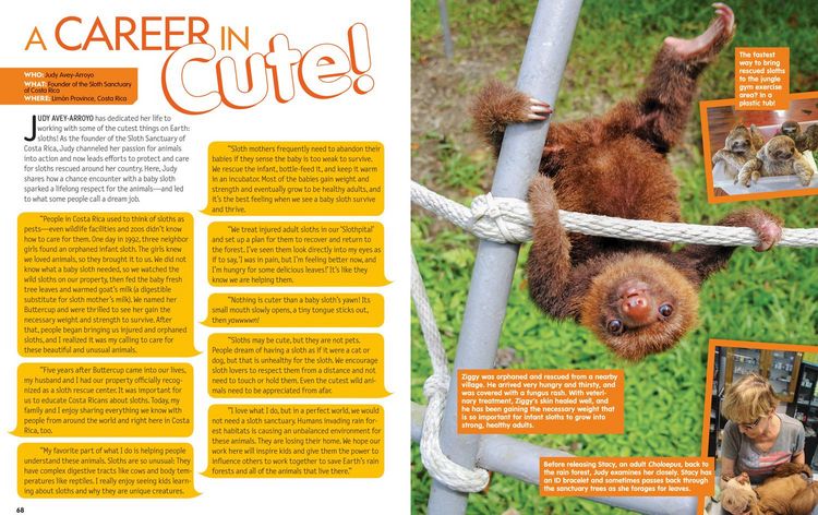 Produktbild: This Book Is Cute